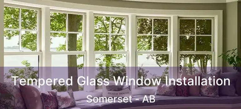  Tempered Glass Window Installation Somerset - AB