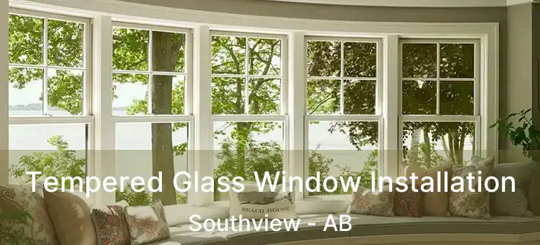  Tempered Glass Window Installation Southview - AB