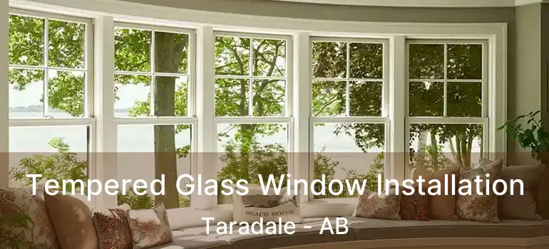  Tempered Glass Window Installation Taradale - AB
