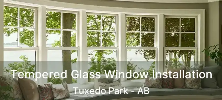  Tempered Glass Window Installation Tuxedo Park - AB