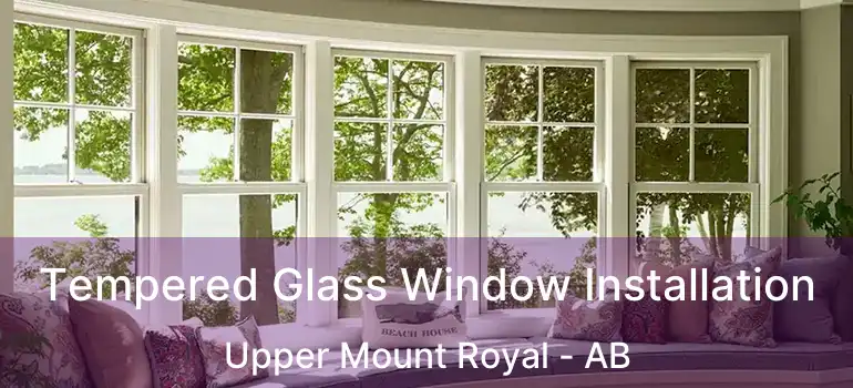  Tempered Glass Window Installation Upper Mount Royal - AB