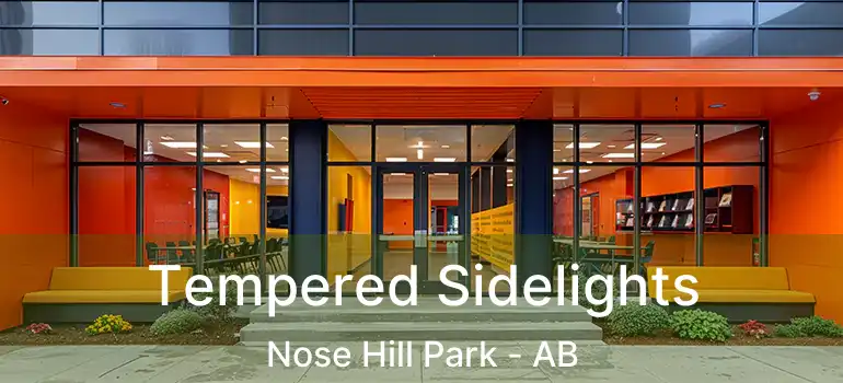  Tempered Sidelights Nose Hill Park - AB