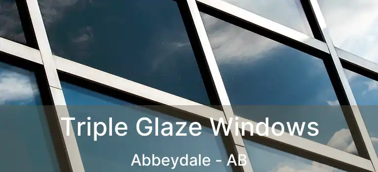  Triple Glaze Windows Abbeydale - AB
