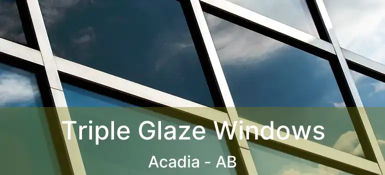  Triple Glaze Windows Acadia - AB