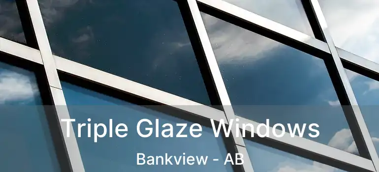  Triple Glaze Windows Bankview - AB