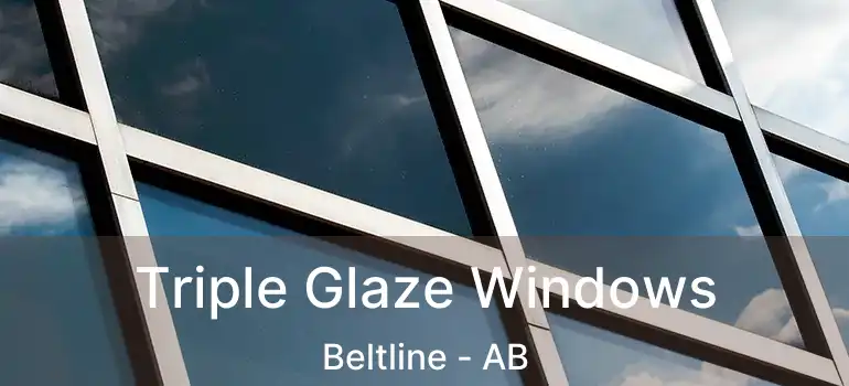  Triple Glaze Windows Beltline - AB