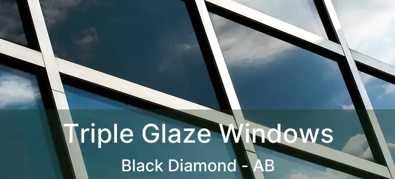  Triple Glaze Windows Black Diamond - AB