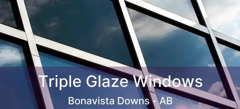 Triple Glaze Windows Bonavista Downs - AB