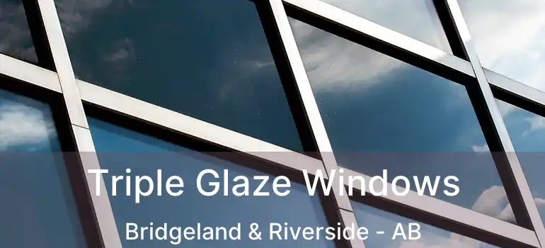  Triple Glaze Windows Bridgeland & Riverside - AB