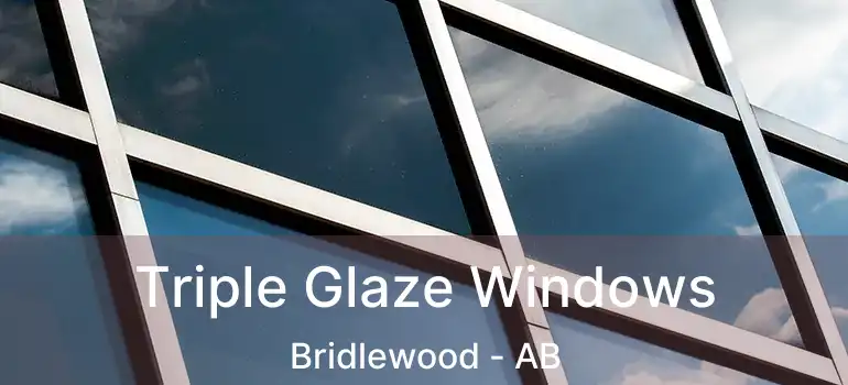  Triple Glaze Windows Bridlewood - AB