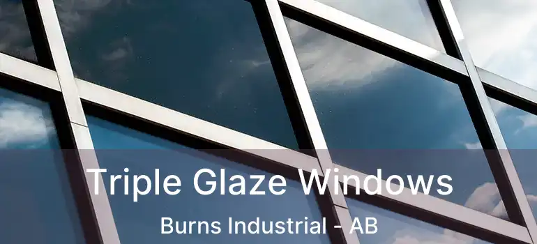  Triple Glaze Windows Burns Industrial - AB