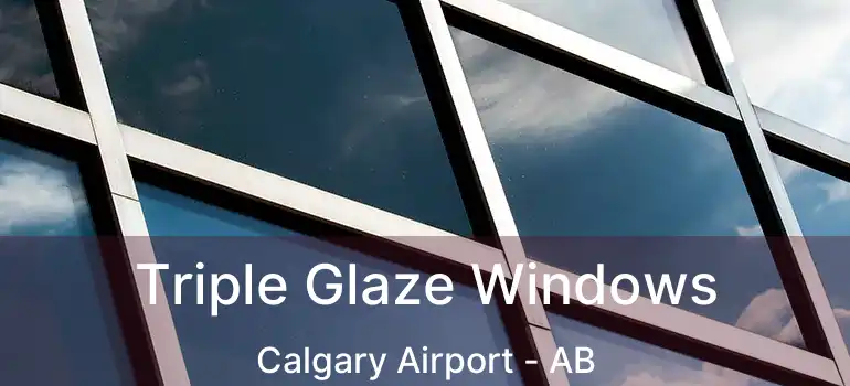  Triple Glaze Windows Calgary Airport - AB