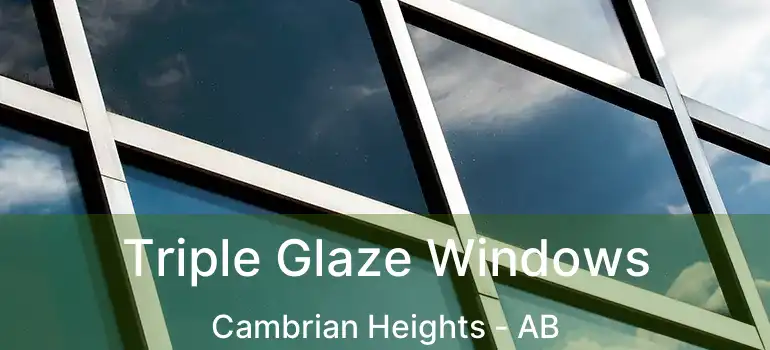  Triple Glaze Windows Cambrian Heights - AB