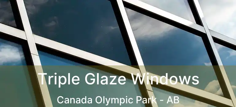  Triple Glaze Windows Canada Olympic Park - AB