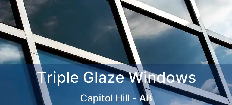  Triple Glaze Windows Capitol Hill - AB