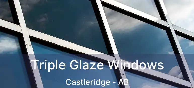  Triple Glaze Windows Castleridge - AB