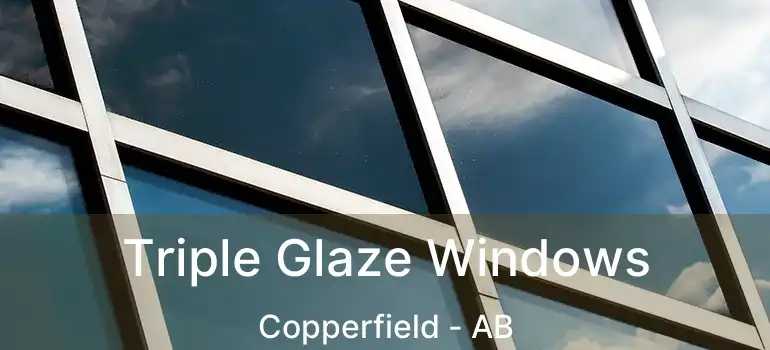  Triple Glaze Windows Copperfield - AB