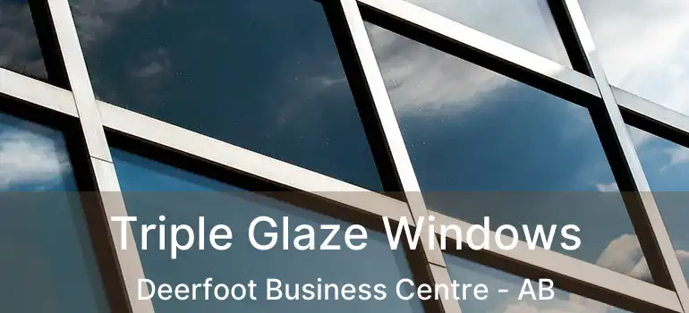  Triple Glaze Windows Deerfoot Business Centre - AB