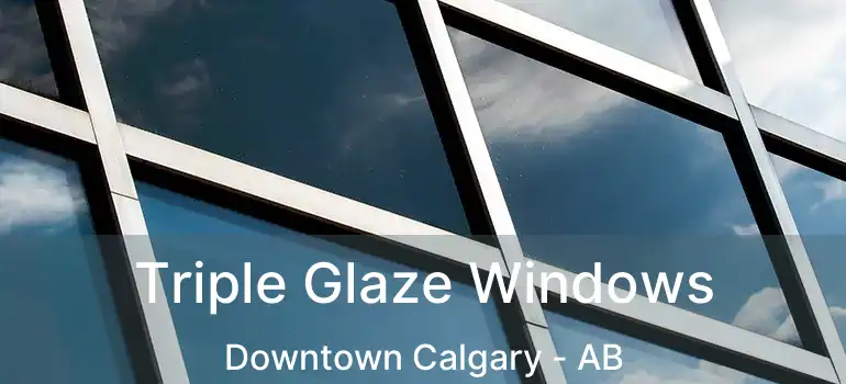  Triple Glaze Windows Downtown Calgary - AB