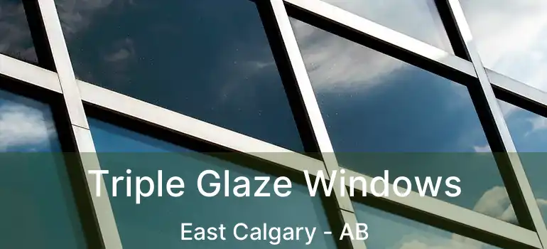  Triple Glaze Windows East Calgary - AB