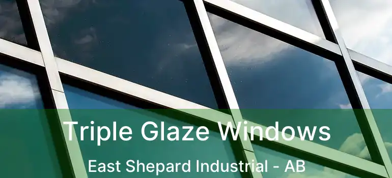  Triple Glaze Windows East Shepard Industrial - AB