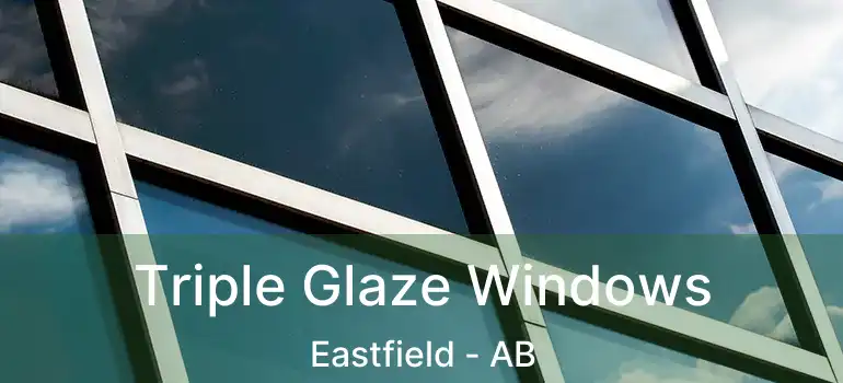  Triple Glaze Windows Eastfield - AB