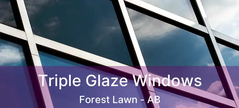  Triple Glaze Windows Forest Lawn - AB