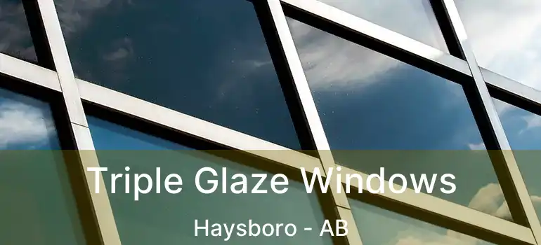  Triple Glaze Windows Haysboro - AB