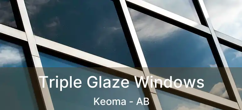  Triple Glaze Windows Keoma - AB