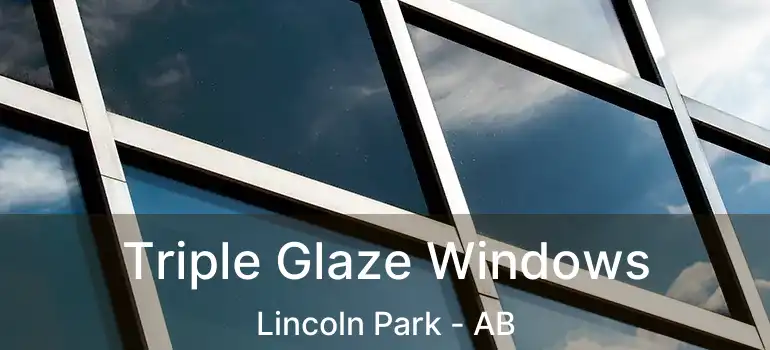 Triple Glaze Windows Lincoln Park - AB