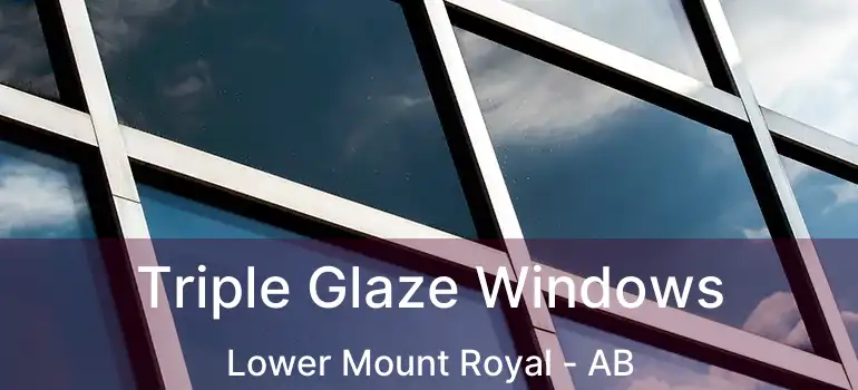  Triple Glaze Windows Lower Mount Royal - AB