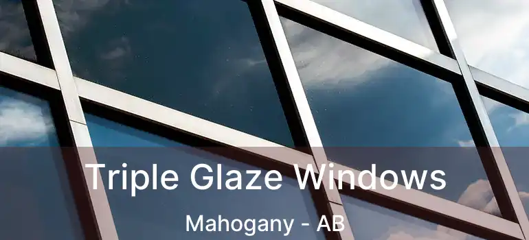  Triple Glaze Windows Mahogany - AB