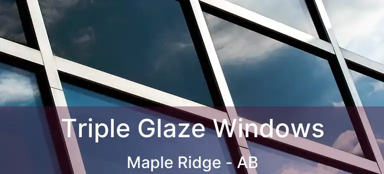 Triple Glaze Windows Maple Ridge - AB