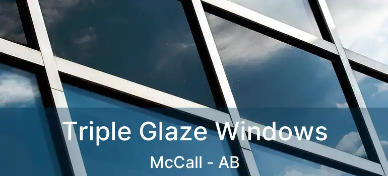  Triple Glaze Windows McCall - AB