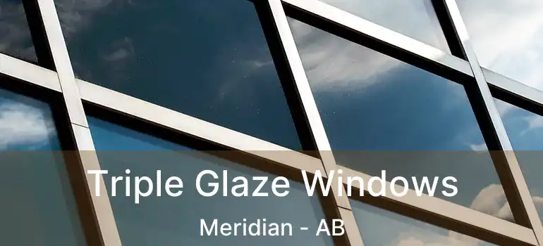  Triple Glaze Windows Meridian - AB
