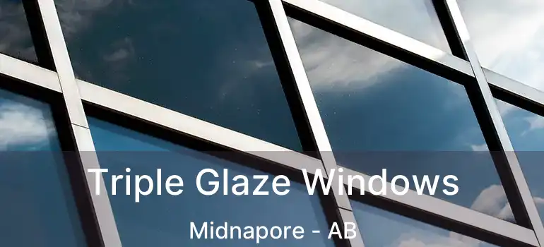  Triple Glaze Windows Midnapore - AB