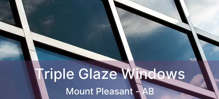  Triple Glaze Windows Mount Pleasant - AB