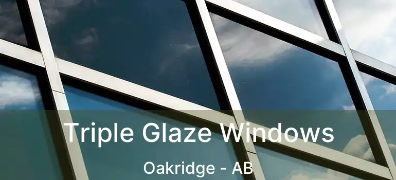  Triple Glaze Windows Oakridge - AB
