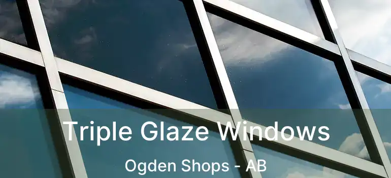  Triple Glaze Windows Ogden Shops - AB