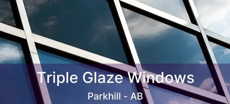  Triple Glaze Windows Parkhill - AB