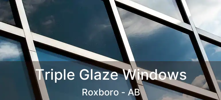  Triple Glaze Windows Roxboro - AB