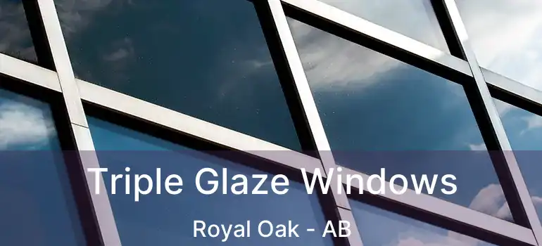  Triple Glaze Windows Royal Oak - AB