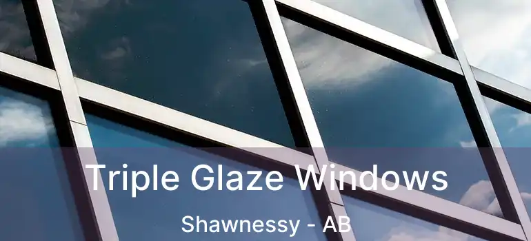  Triple Glaze Windows Shawnessy - AB