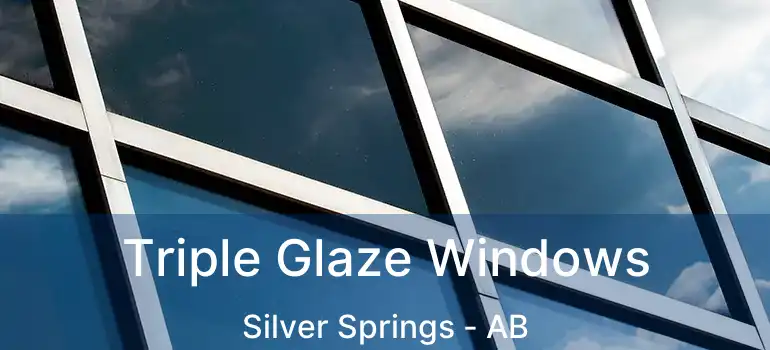  Triple Glaze Windows Silver Springs - AB