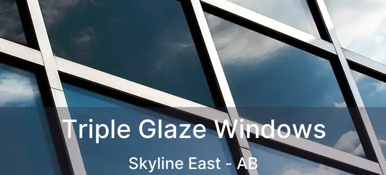  Triple Glaze Windows Skyline East - AB