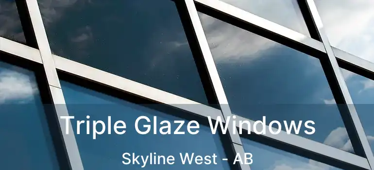  Triple Glaze Windows Skyline West - AB