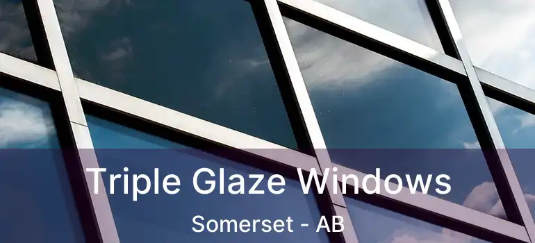  Triple Glaze Windows Somerset - AB