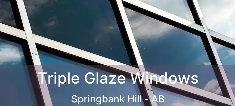  Triple Glaze Windows Springbank Hill - AB