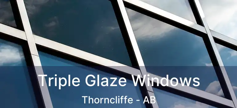  Triple Glaze Windows Thorncliffe - AB
