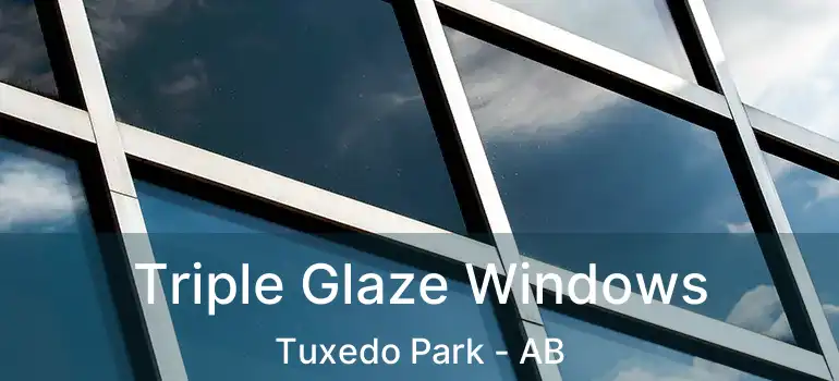  Triple Glaze Windows Tuxedo Park - AB